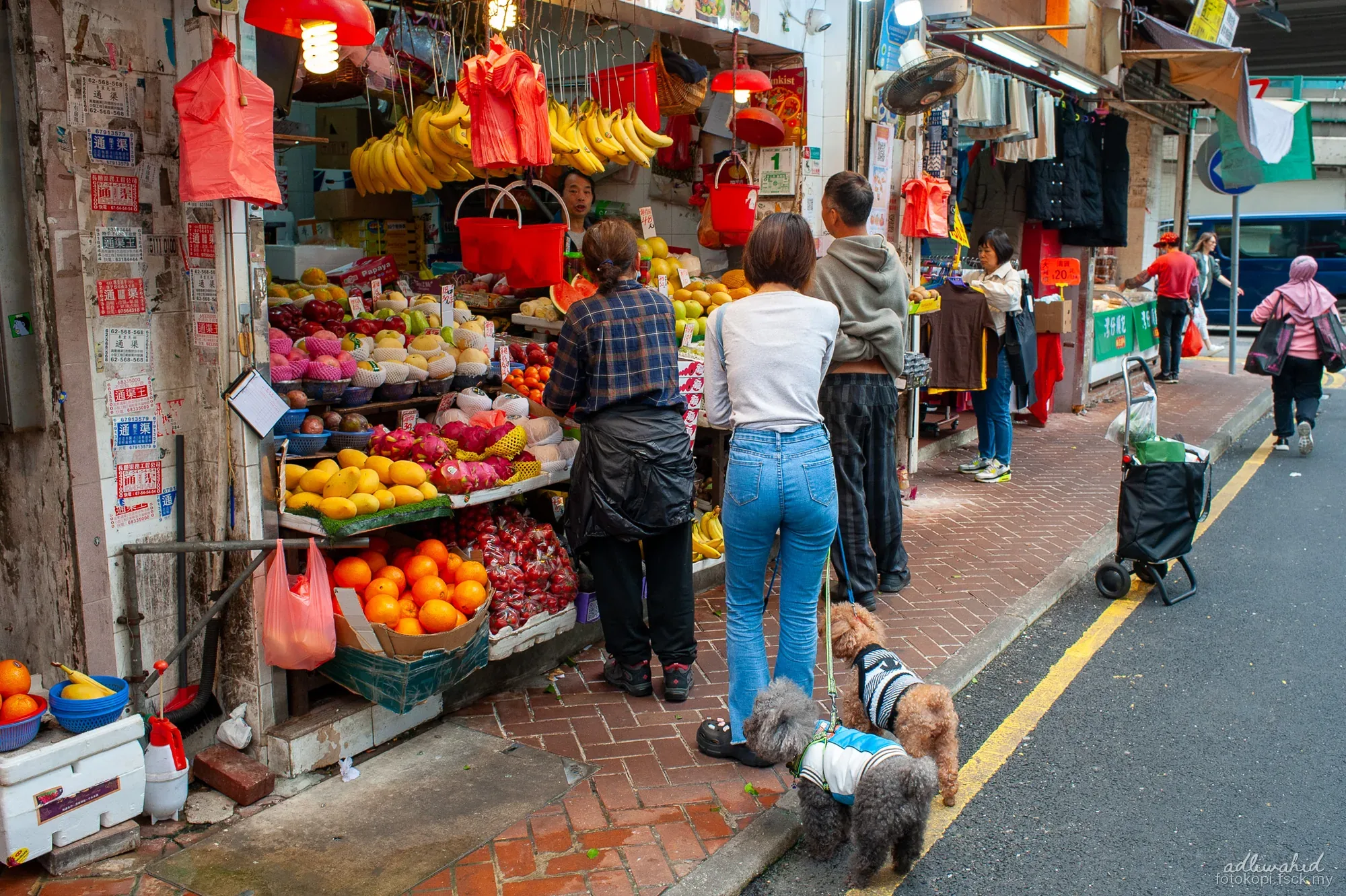 Hong Kong — photo 6 of 17