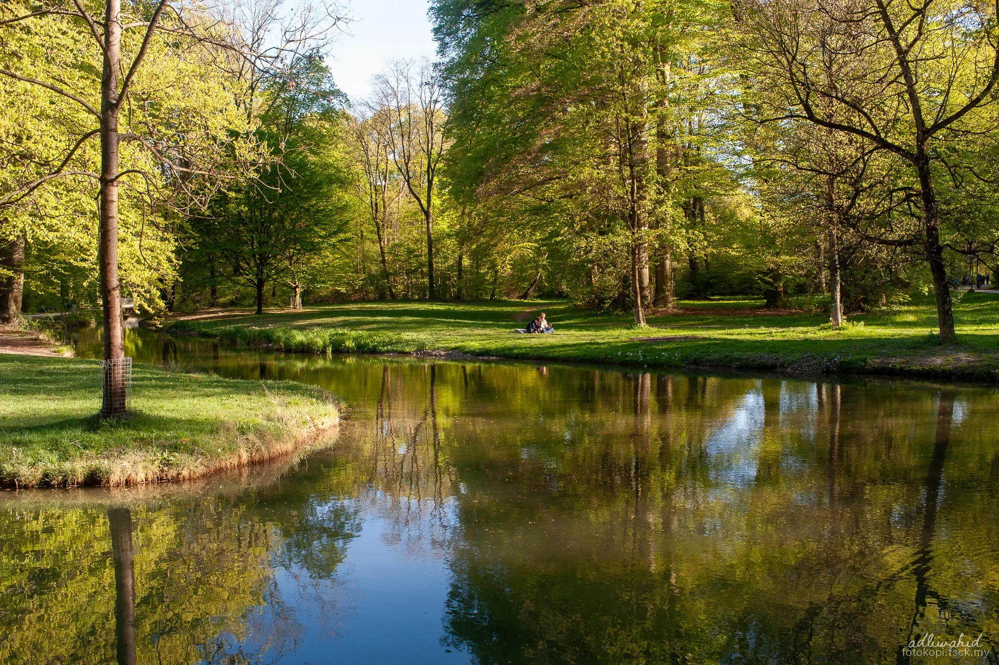 Reflection — photo 8 of 18
